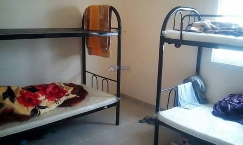 Brand New Labor Camp for Sale in Jebel Ali Brand New Labor Camp for Sale in Jebel Ali