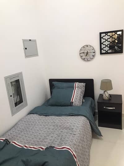 Furnished Studio For Rent in Ajman Furnished Studio For Rent in Ajman