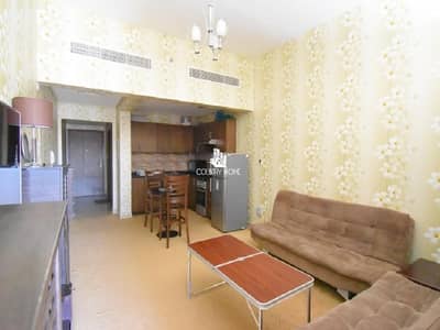 Fully Furnished| Upgraded One Bedroom|Chiller Free Fully Furnished| Upgraded One Bedroom|Chiller Free