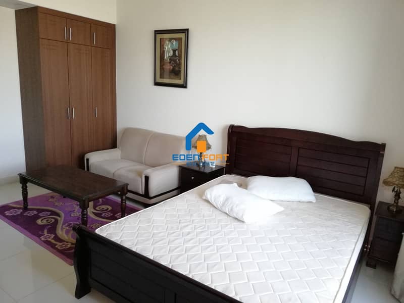 10 Furnished-1 BHK-Nice View-Elite 3-DSC....