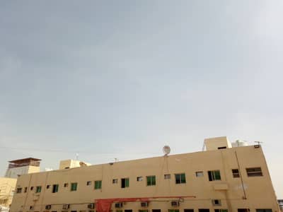 معسكر العمل للايجار في الجرف عجمان معسكر العمل للايجار في الجرف عجمان