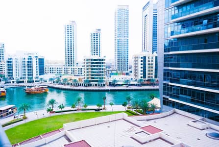 Amazing 1 Bedroom Apartment Amazing 1 Bedroom Apartment