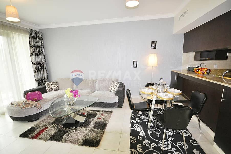 17 Fully Furnished 1 Bedroom Apartment