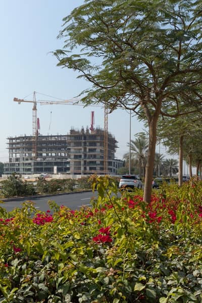 1 Bedroom Flat for Sale in Corniche Ajman, Ajman - buy 1 get 1 with discount 60% . . read to know details 1 Bedroom Flat for Sale in Corniche Ajman, Ajman - buy 1 get 1 with discount 60% . . read to know details