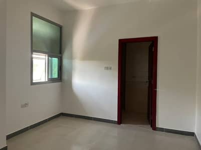1BHK Beautiful Apartment 1BHK Beautiful Apartment