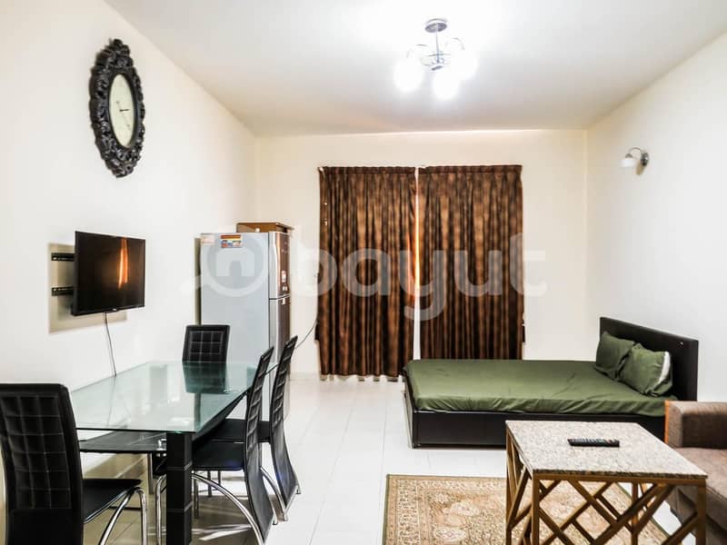 Huge Studio Apt | Fully Furnished | Big Space | Upgraded