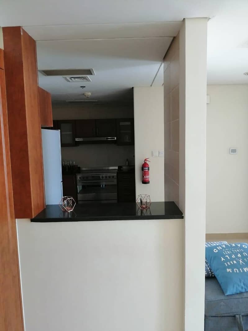 6 Beautiful 1 BR Fully Furnished  Apartment at Lakeside Residence