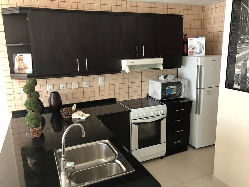 9 Beautiful 1 BR / Vacant on 18th April/ Furnished