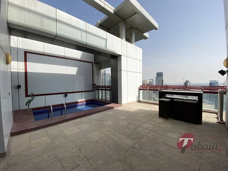 8 Private Lift and Pool|Furnished|Duplex Half Floor
