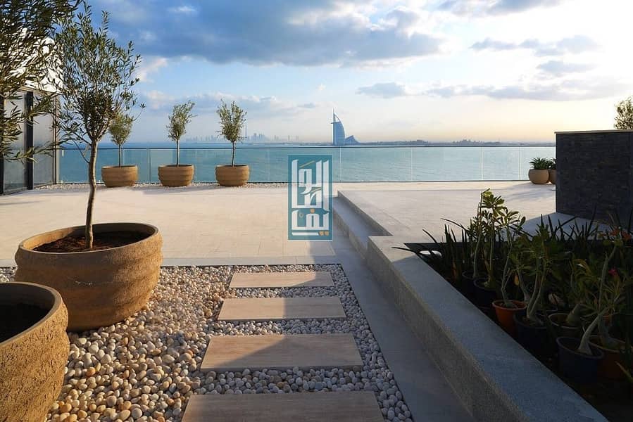 12 Brand New Luxury 1Bed||Beautiful Palm View