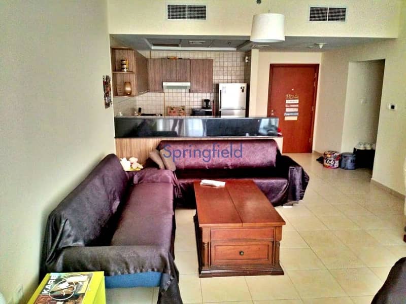 Fully Furnished 1 Bed Apt With Downtown View