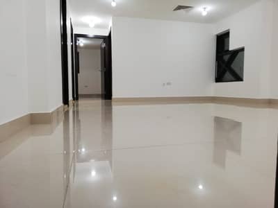 Excellent And Spacious Size Two Bedroom With Wardrobes Apartment At Delma Street For 45k