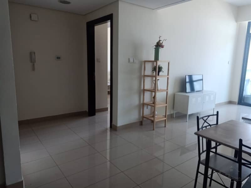 10 Beautiful 1 Bedroom and Nicely Furnished Unit