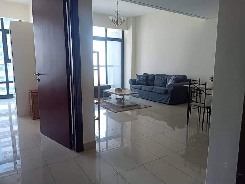 17 Beautiful 1 Bedroom and Nicely Furnished Unit