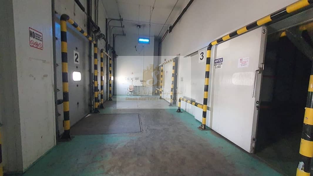 12 COLD STORAGE FOR SALE IN AL AWEER