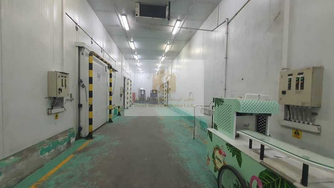 23 COLD STORAGE FOR SALE IN AL AWEER