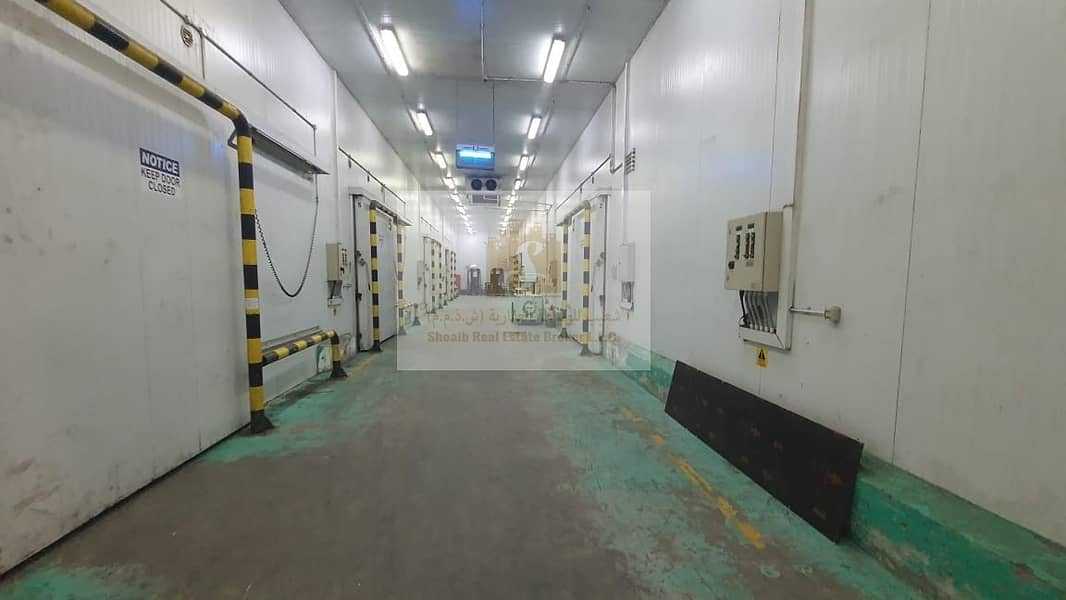 25 COLD STORAGE FOR SALE IN AL AWEER