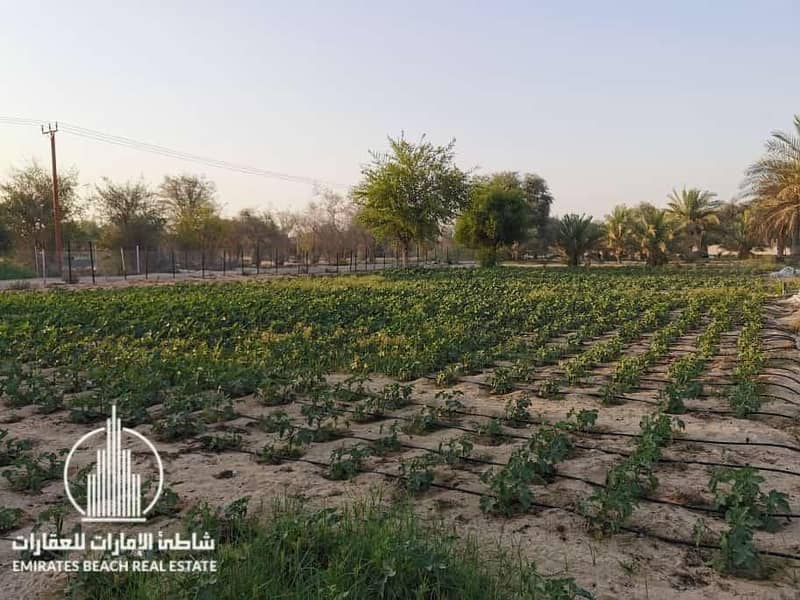 2 Al Samha Farm | with Labor Accommodation