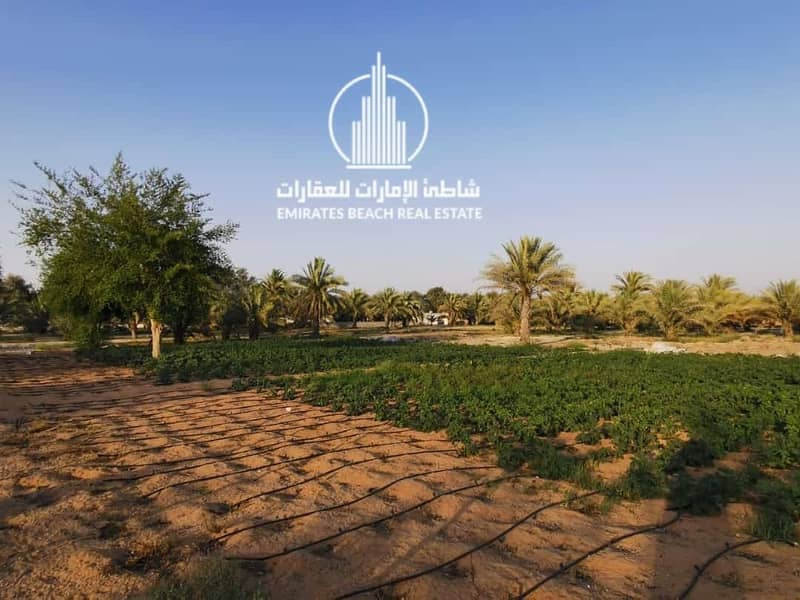 4 Al Samha Farm | with Labor Accommodation