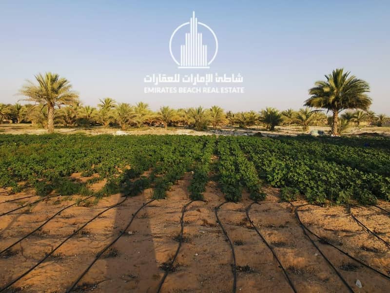 5 Al Samha Farm | with Labor Accommodation