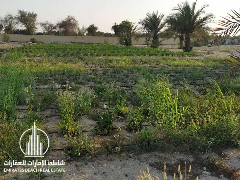 6 Al Samha Farm | with Labor Accommodation