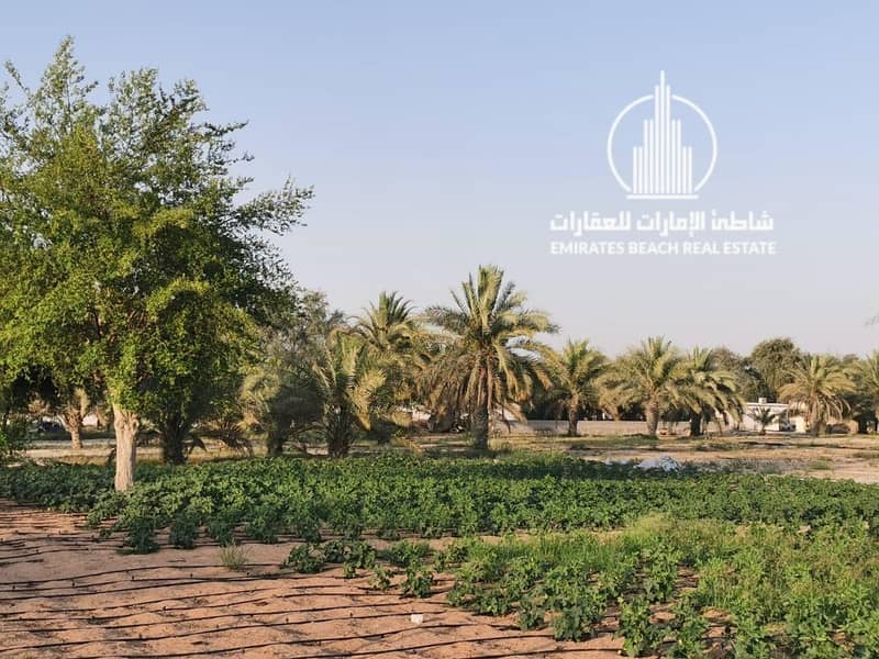 7 Al Samha Farm | with Labor Accommodation
