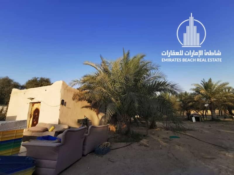 10 Al Samha Farm | with Labor Accommodation