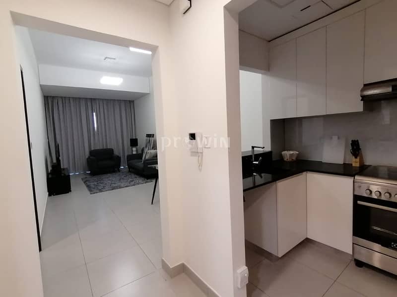 3 Huge Terrace | Luxurious  1BR Apt | Furnished  with  All Bills | Pay Monthly !!!