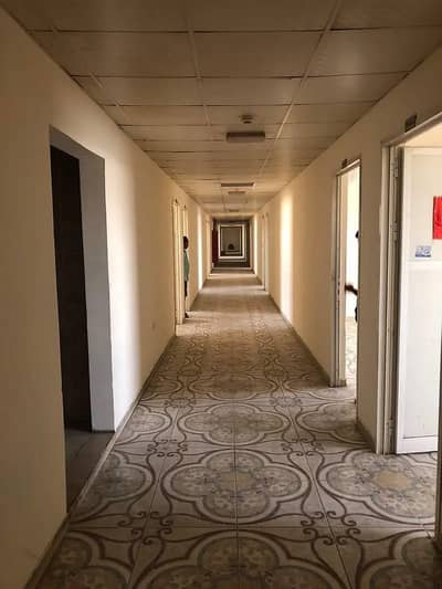 Labour Camp for Rent in Musaffah, Abu Dhabi - New labor and staff housing for monthly rent Labour Camp for Rent in Musaffah, Abu Dhabi - New labor and staff housing for monthly rent