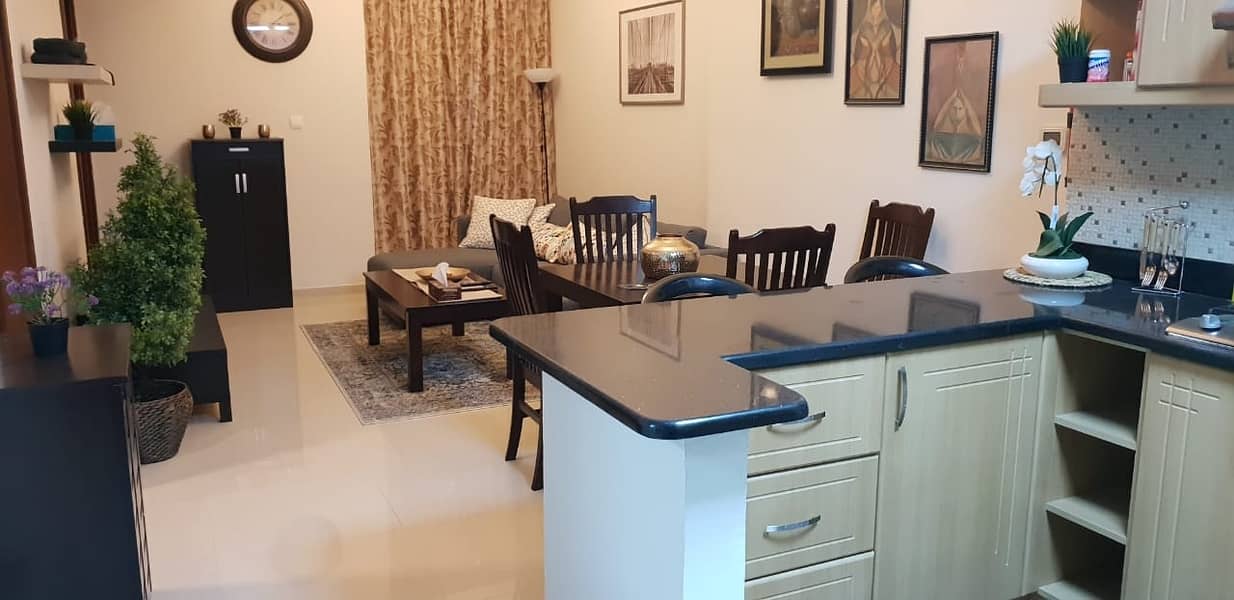 10 Furnished and Vacant One Bedroom in Elite 9