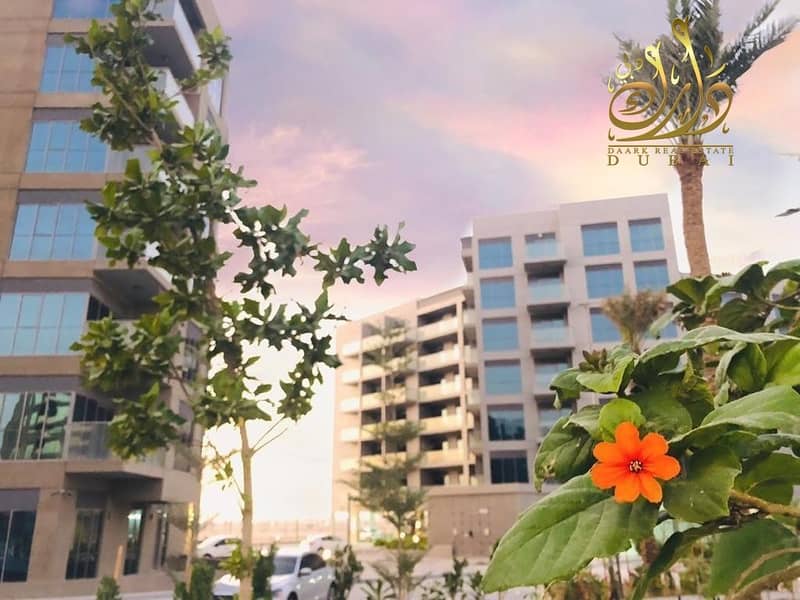 3 Ready Apartment in Dubai | Discounted price |Nice community