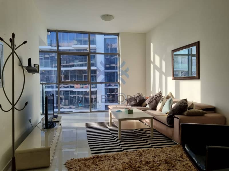 Spacious  Furnished   1 BR With Nice  View