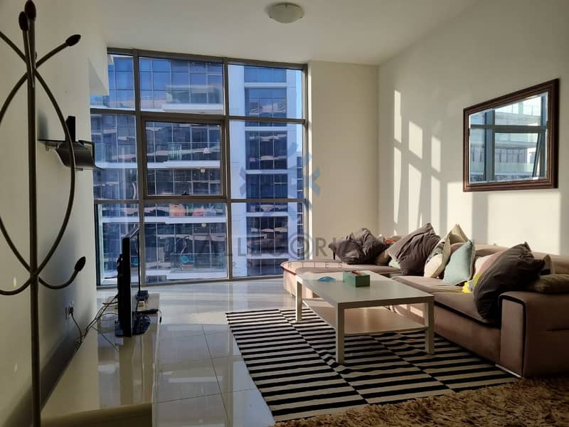 2 Spacious  Furnished   1 BR With Nice  View