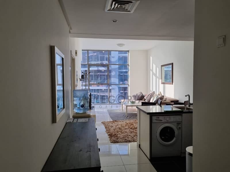 5 Spacious  Furnished   1 BR With Nice  View
