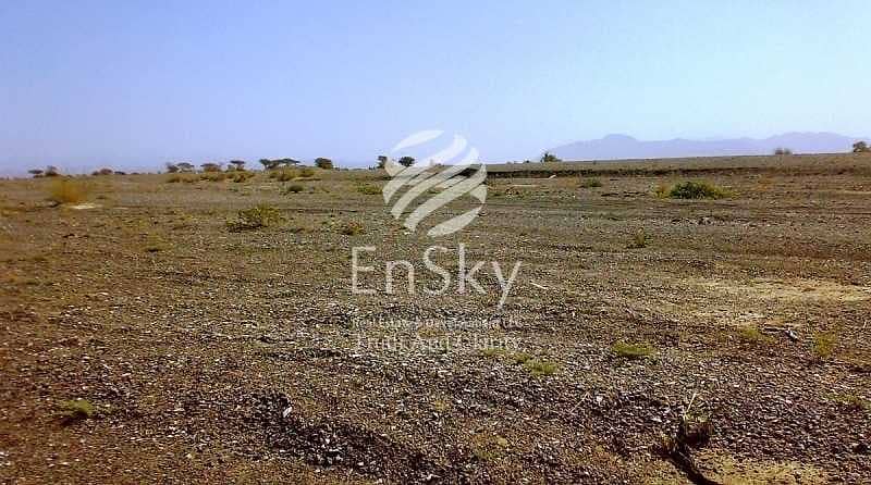 3 Amazing Land Plot for Sale in Al Ain