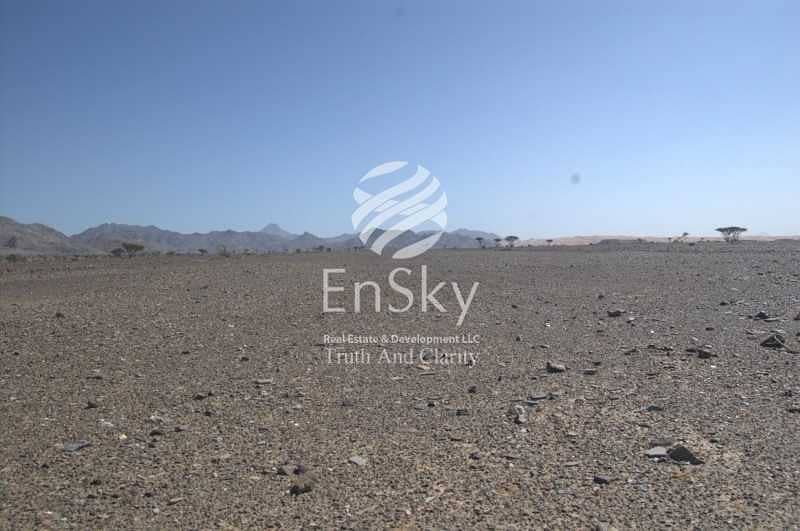 7 Amazing Land Plot for Sale in Al Ain