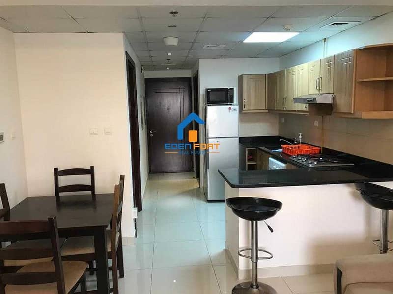 3 FULLY FURNISHED 1BHK FOR RENT IN ELITE 6