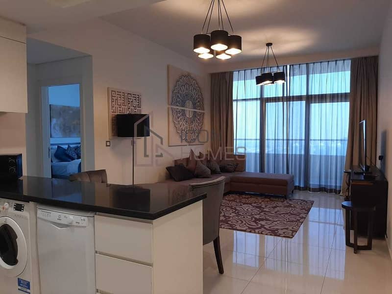 10 BEAUTIFUL FULLY FURNISHED ONE BEDROOM APARTMENT