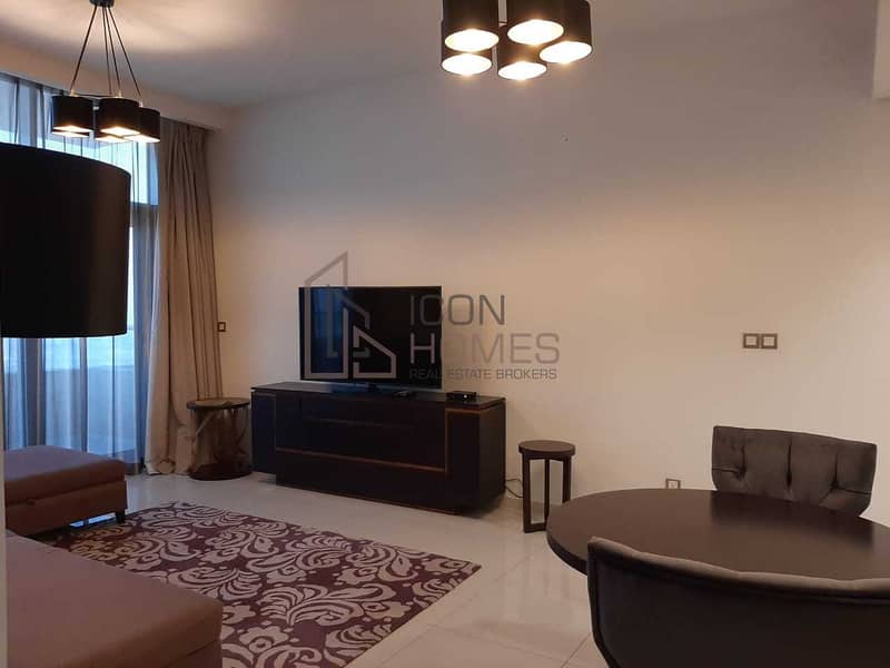 11 BEAUTIFUL FULLY FURNISHED ONE BEDROOM APARTMENT