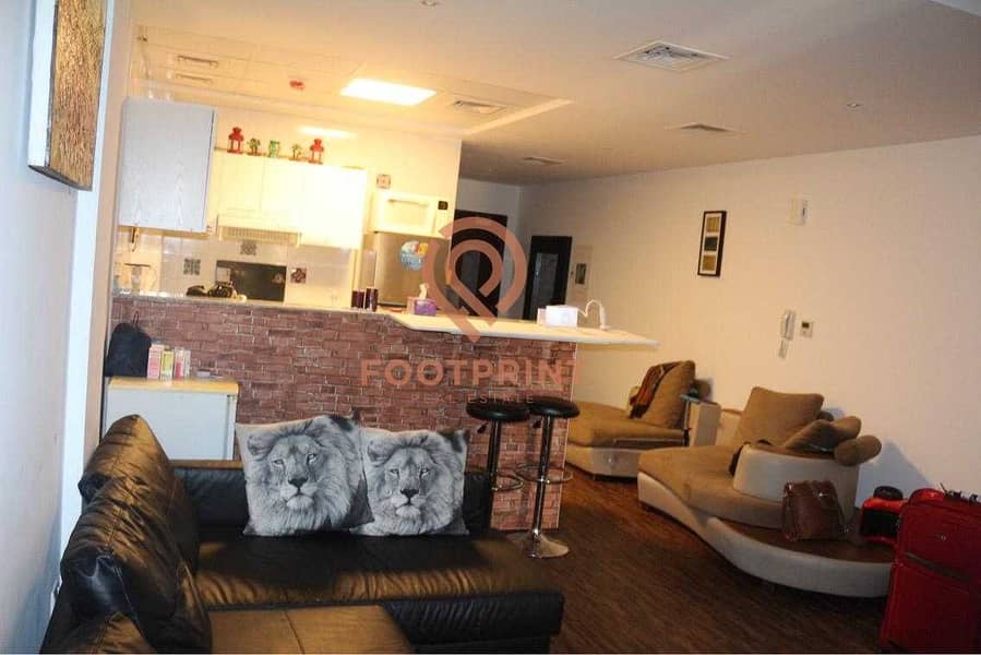 12 Spacious Fully Furnished | Fully Upgraded Studio