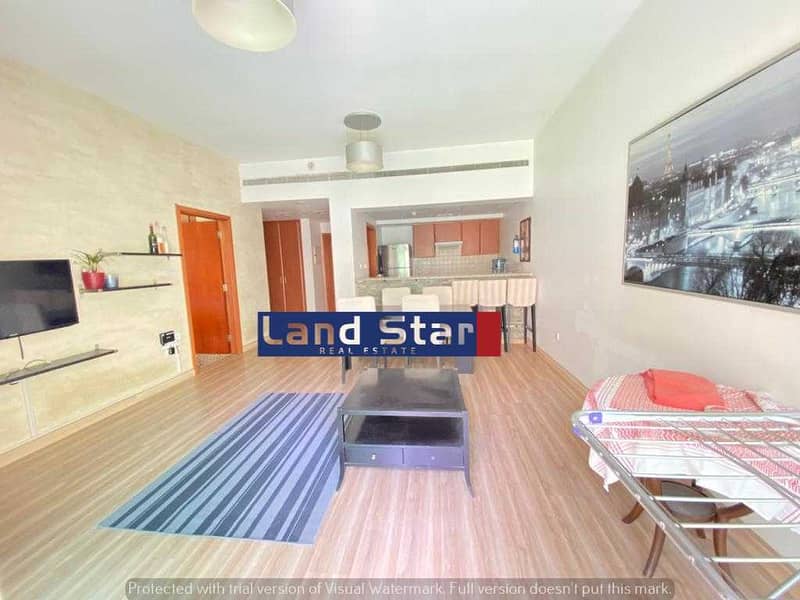 11 Fully Furnished | Stunning 1Bhk | Chiller Free