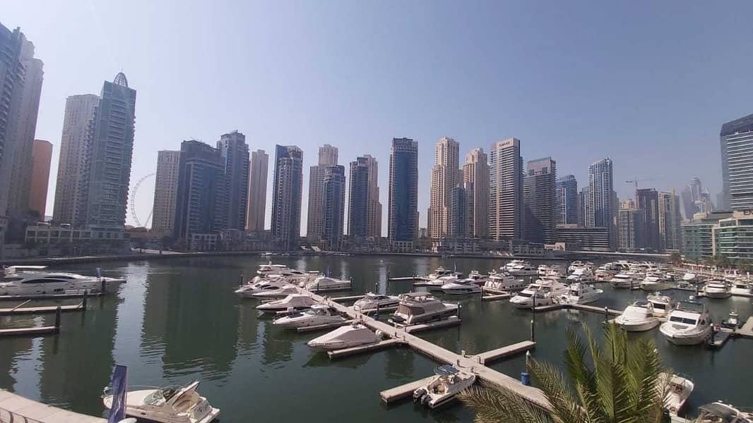 位于迪拜码头，滨海风帆塔楼 3 卧室的公寓 150000 AED - 5191246