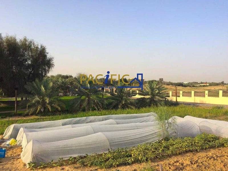 8 Beautiful Farmhouse in Dubai - Fully Equipped