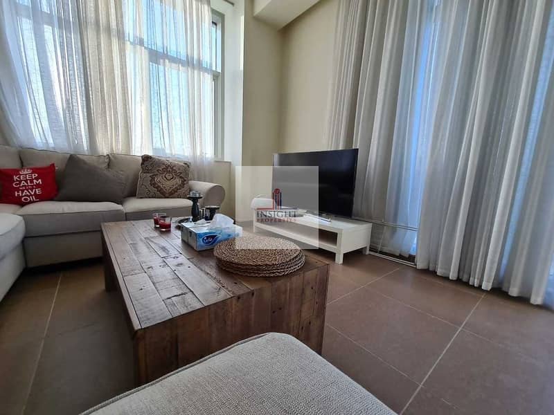 4 TASTEFULLY FURNISHED 1 B/R APT | FULL CANAL VIEW