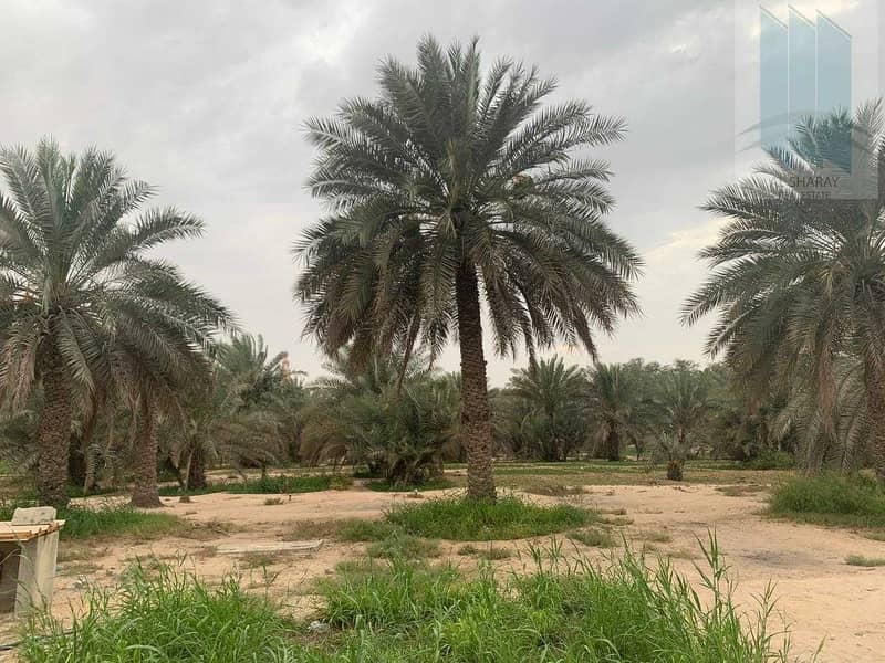 Large farm with villa for sale in Al Awir 1 Large farm with villa for sale in Al Awir 1