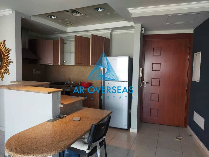 4 Silicon Arch Fully Furnished 1 Br available for Rent