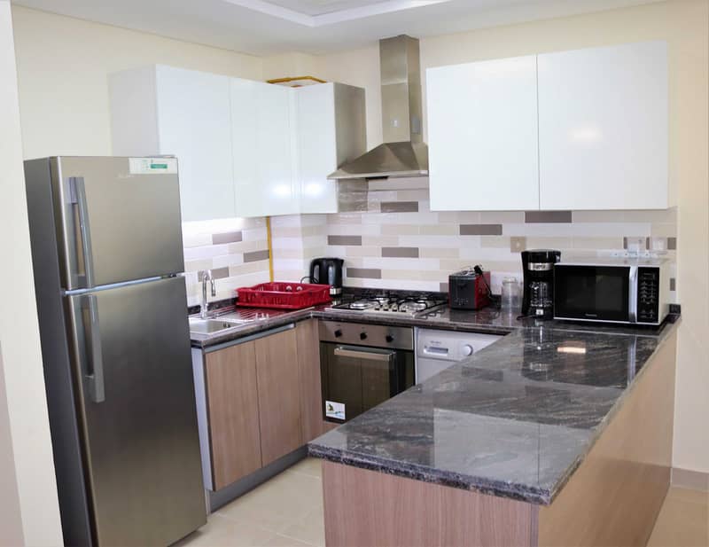8 Brand New  Fully Furnished 1 BR Apartment.