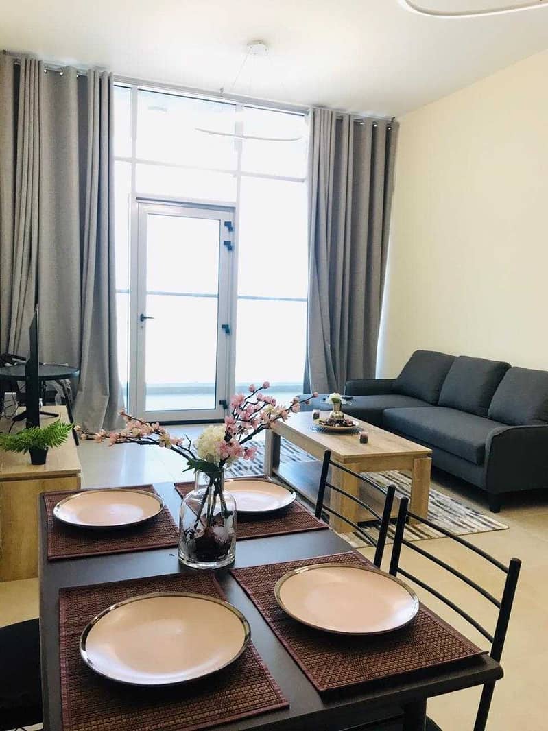 Spacious Fully Furnished 1 BR Apartment.