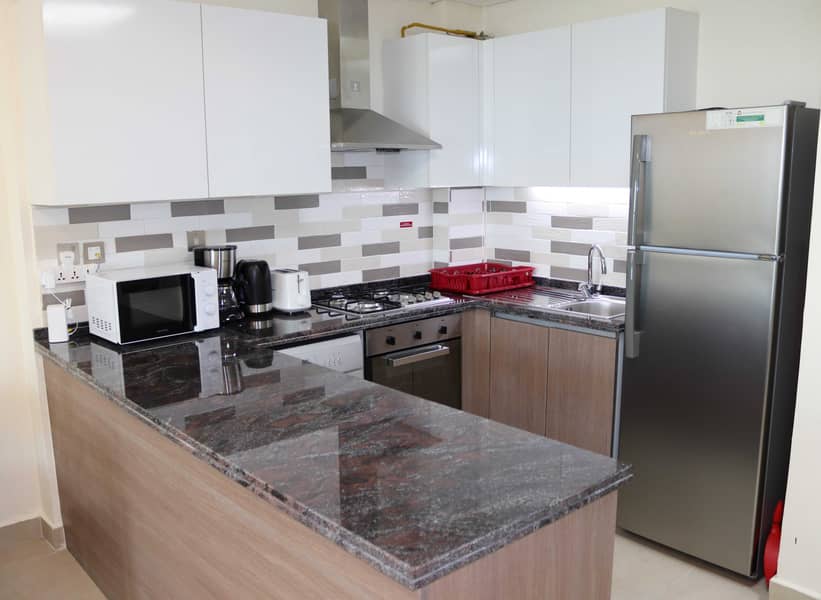 10 Fully Furnished | Brand new 1 BR Apartment.