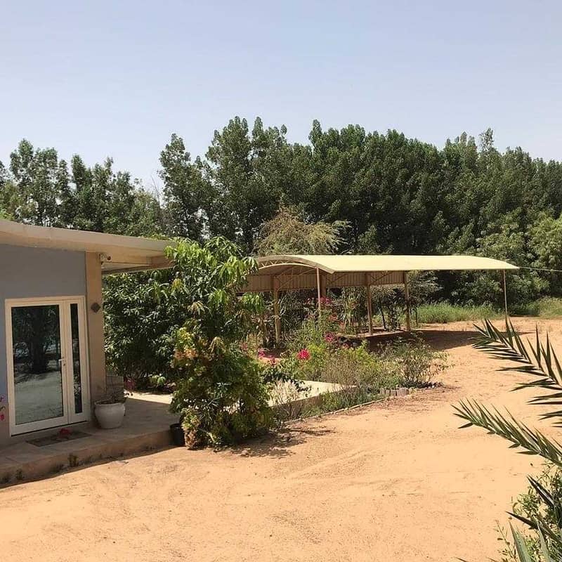 The farm is in Helio 1 / Ajman
 The land area is 60 thousand square feet
 L